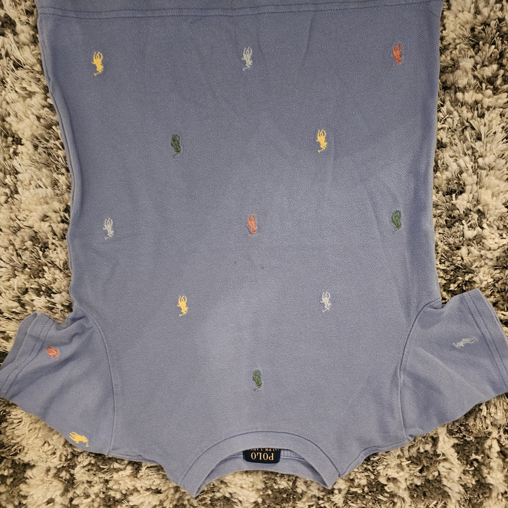 Polo by Ralph Lauren Kids Blue Tee with Colorful Embroidery